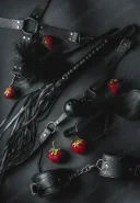 Caut doamna submisiva - imagine 3