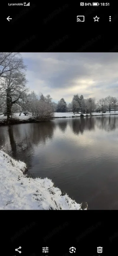 Companie placuta pentru doamne de vârsta a treia