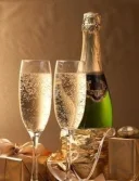 Domn matur - imagine 1